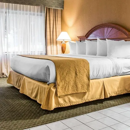 Quality Inn Southfield - Detroit-2